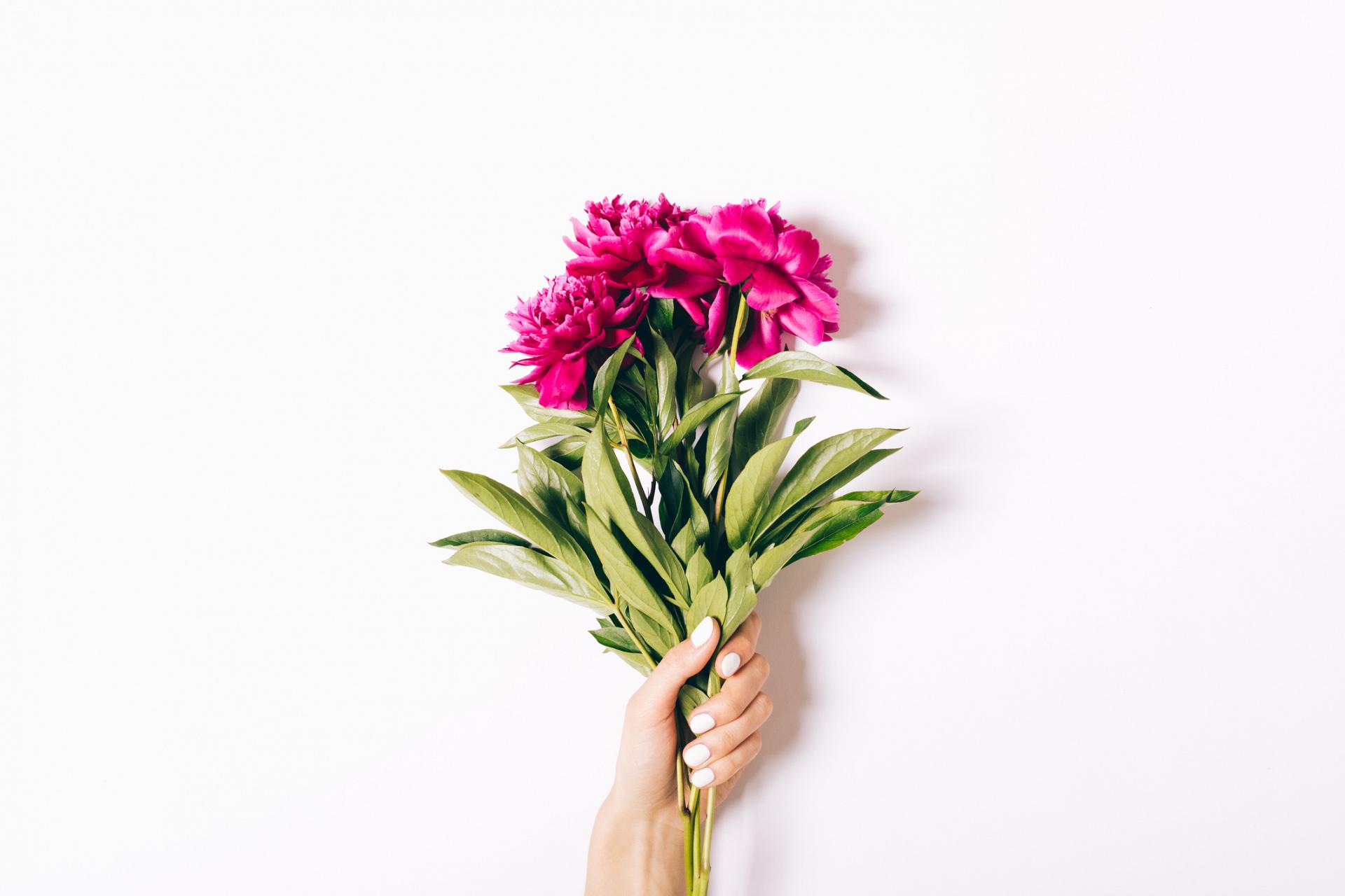 Florist Greifswald